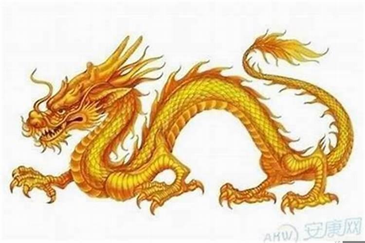 88年属龙的和什么属相最配