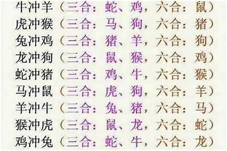 属猪和什么属相六和