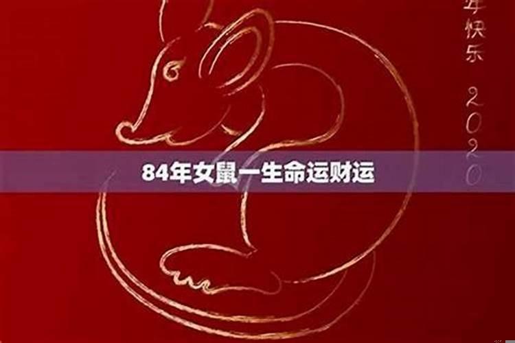 84年属鼠人终身灾难