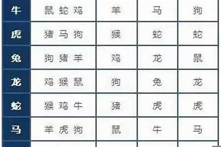 牛跟什么属相冲相合