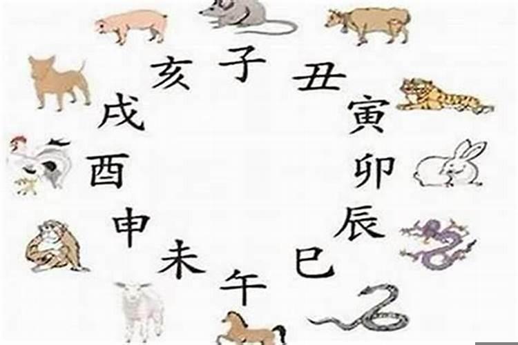 蛇年的人配什么生肖比较好