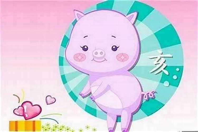 女属猪和男属牛的合不合