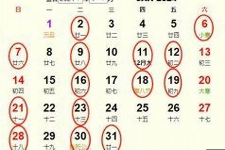 属蛇2020结婚月份