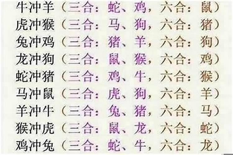 属狗的与属牛的合不合