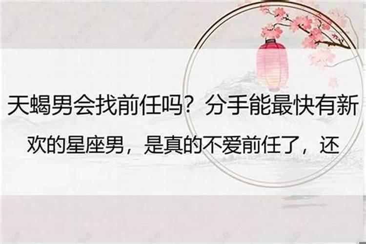 天蝎男会和前任复合吗