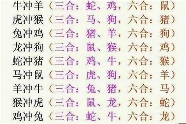 属虎的和什么属相相冲