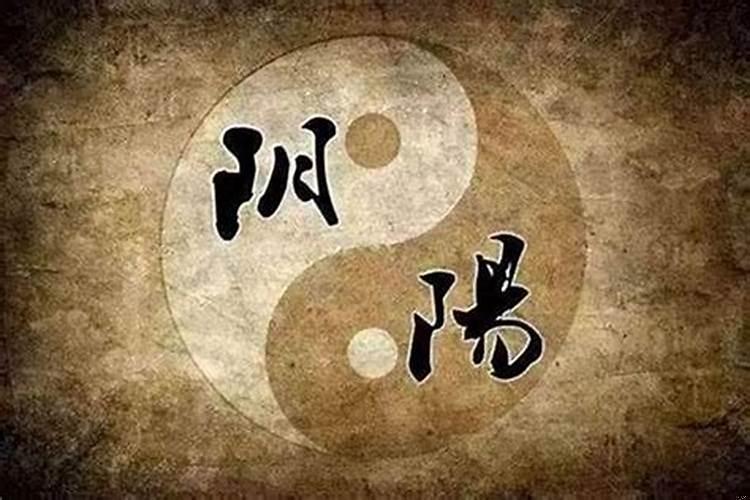 纯阳之体有什么用