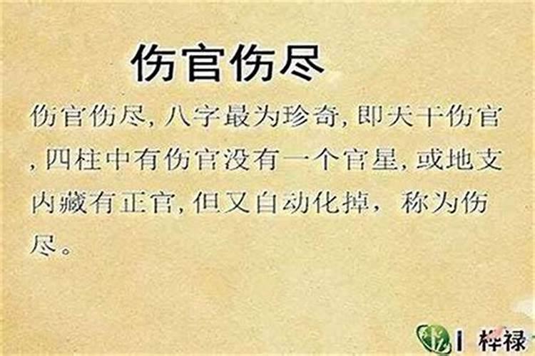 八字里的比