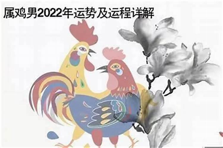 93年属鸡跟什么配