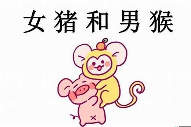 83年女猪一生有二婚吗