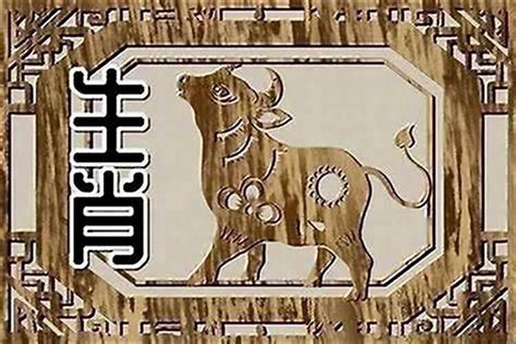 属狗的与属牛的合不合