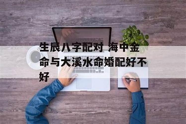金命和大海水命的婚姻如何