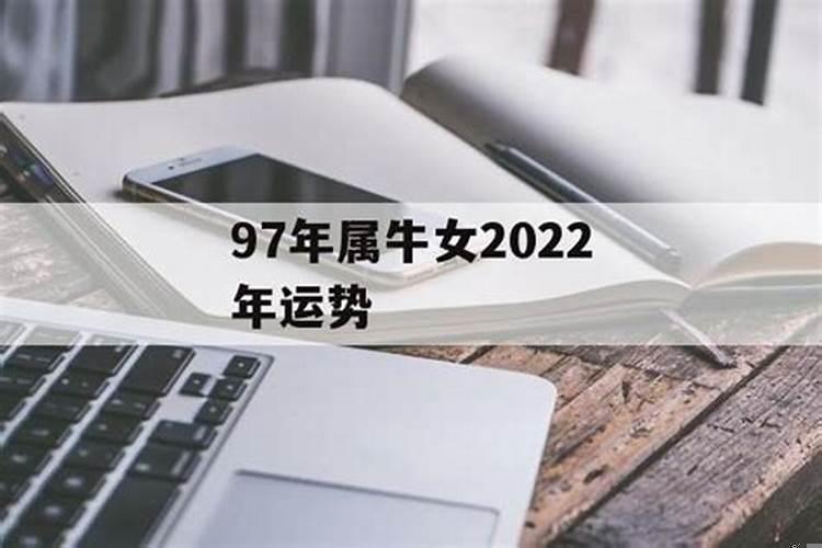 属牛女在2025年运势如何