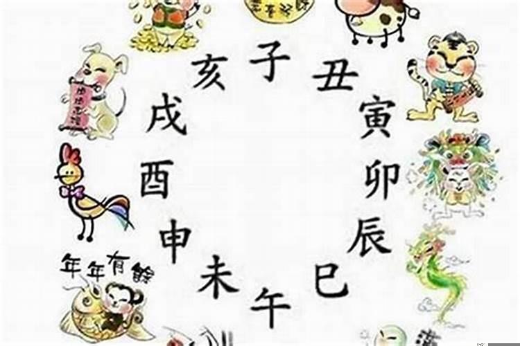 1995属相是啥