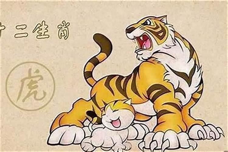 娶了属虎的女人