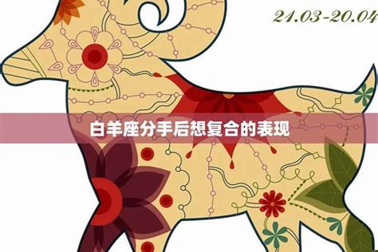 白羊座分手后会复合吗