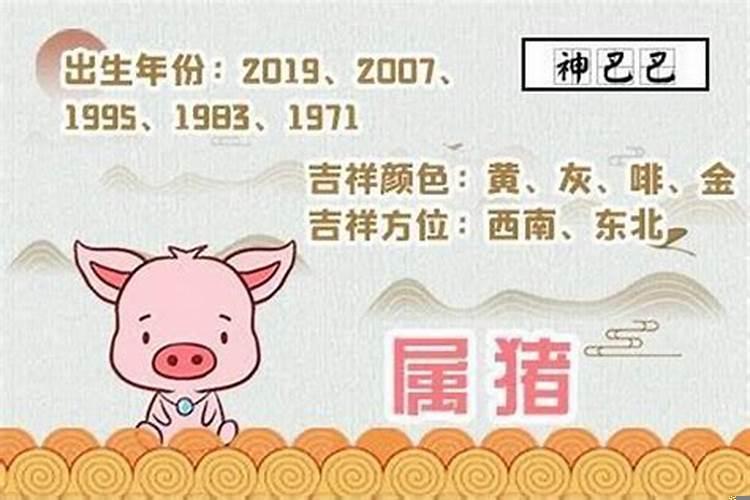 属猪人在2022年的运势怎么样