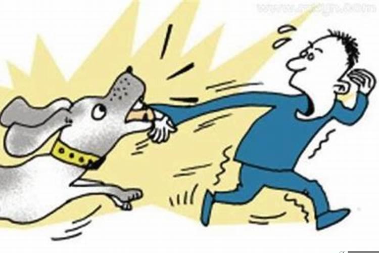 梦见狗咬是咋回事