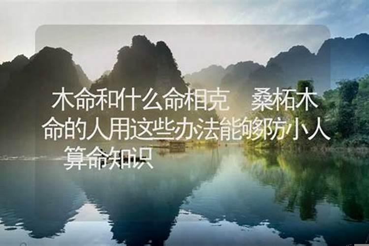 桑柘木命与大海水命相合吗