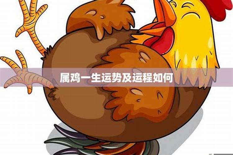 2017年属鸡一生命运如何