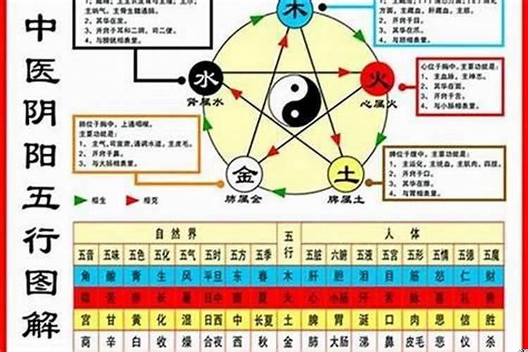 如何推算人的五行
