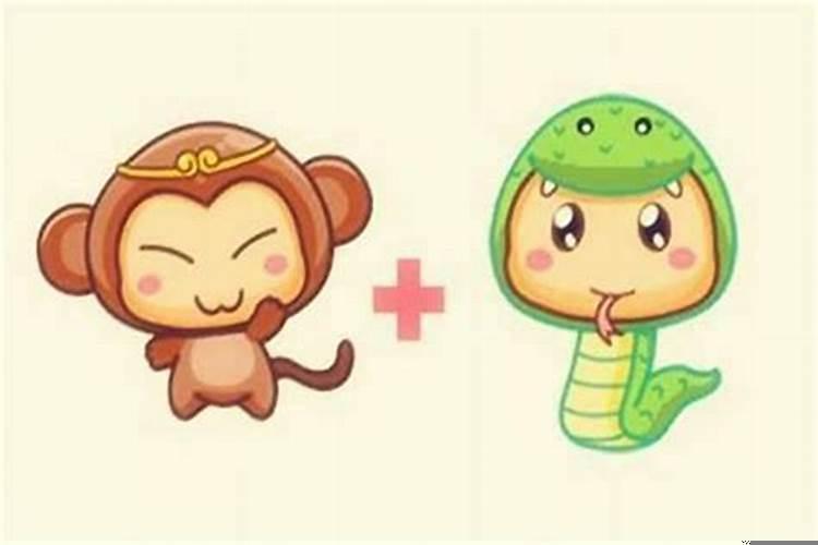 属猴的跟属猴的配吗婚姻