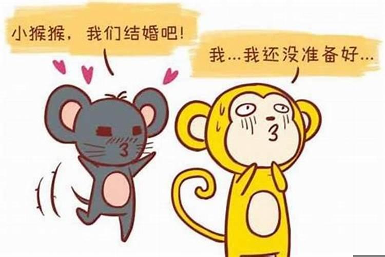 虎与鼠属相婚配好吗