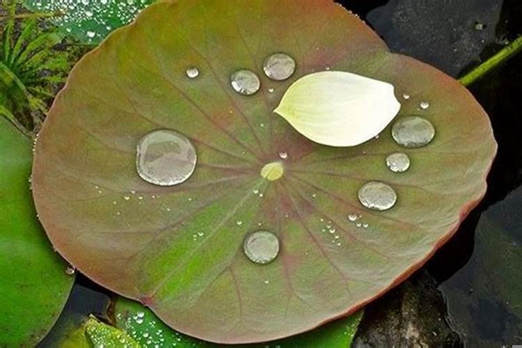 水瓶与天秤配吗