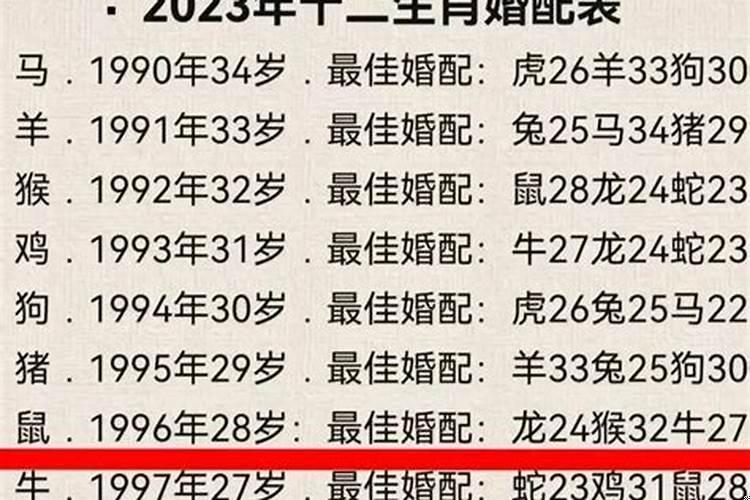 1995属相是啥