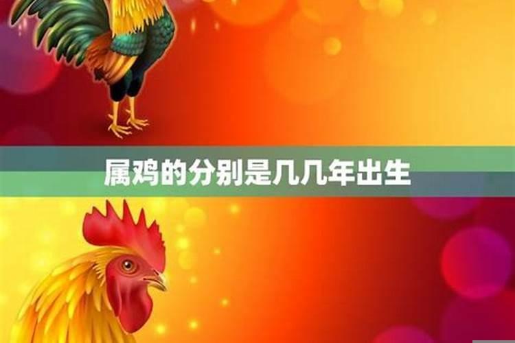 属鸡的是什么性格特点