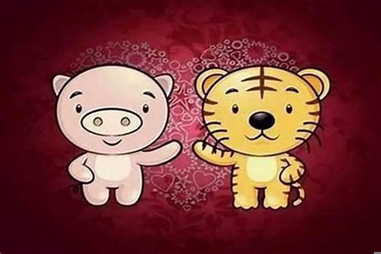 属牛男人和属虎女人做夫妻可以吗