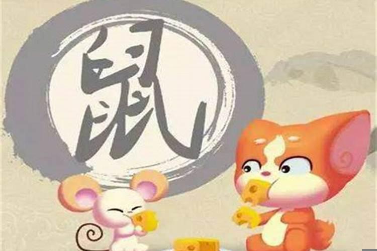 老鼠兔子不成婚什么意思