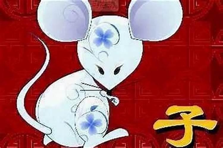 96年是什么命最佳婚配