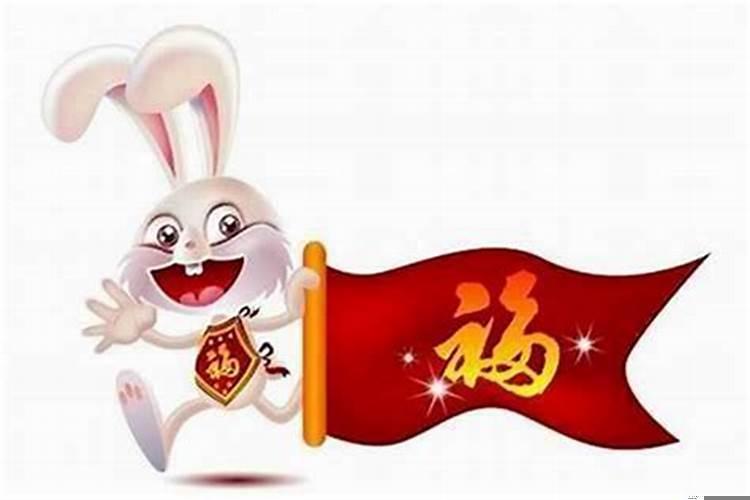 属兔的人运气都很好吗为什么