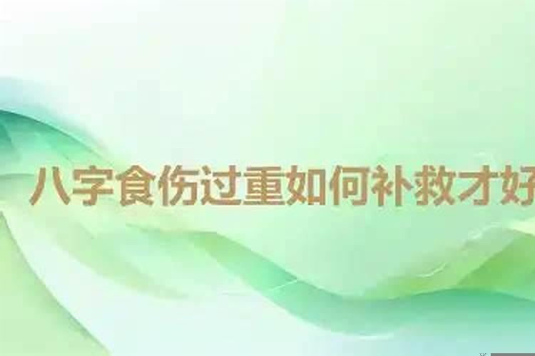 八字伤官太重是什么意思