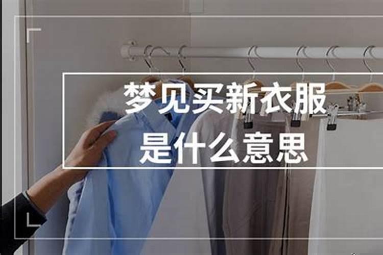 女人梦见死猫什么征兆