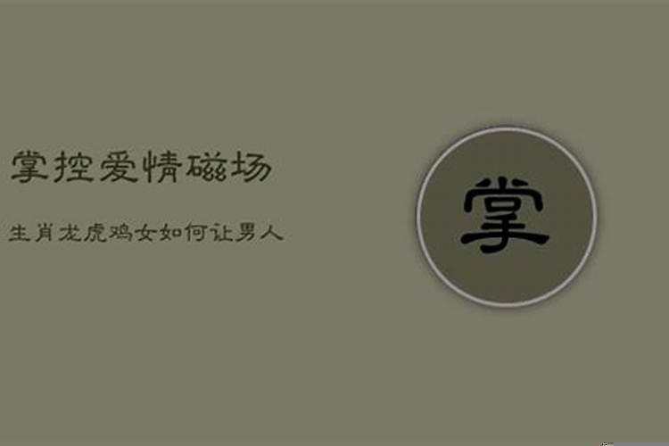 什么生肖的男人最花心