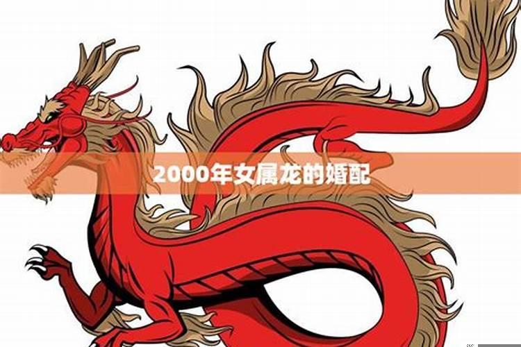 2000年属龙女的婚配