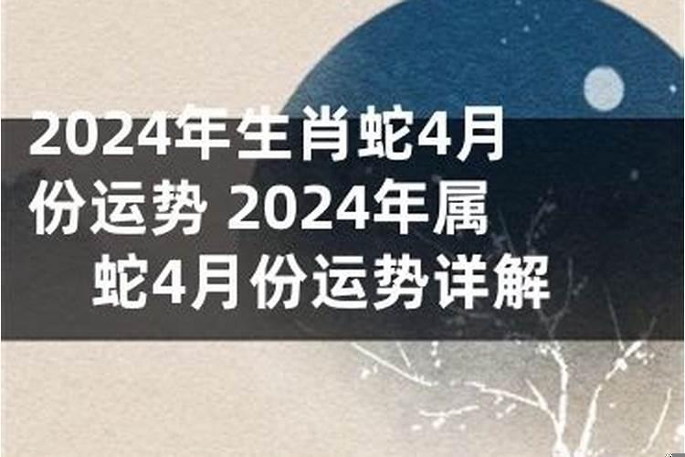 属蛇的人卧室放什么好