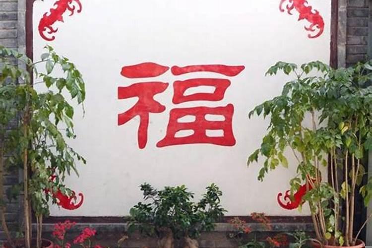 能经常算命吗