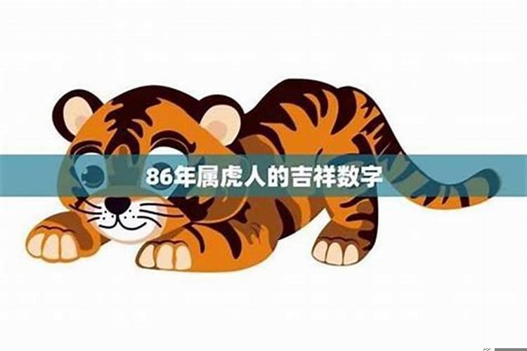 老虎最好的生肖