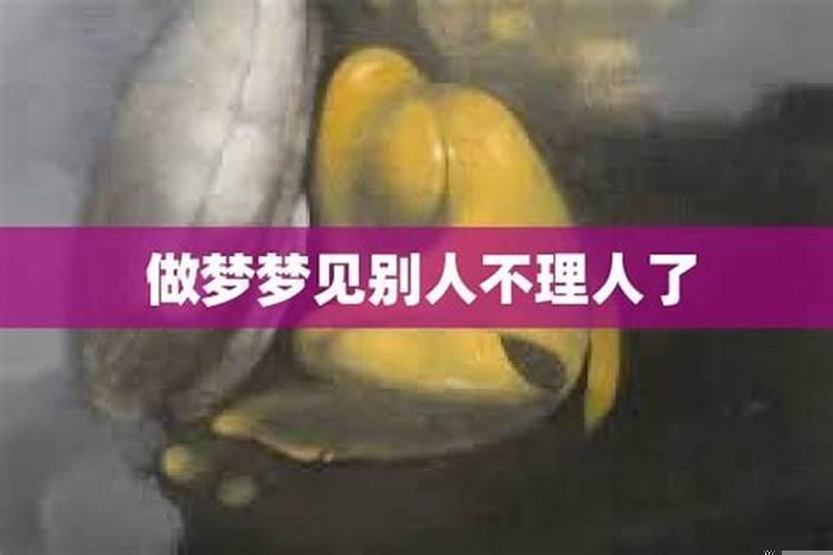 梦见别人不理自己是什么意思