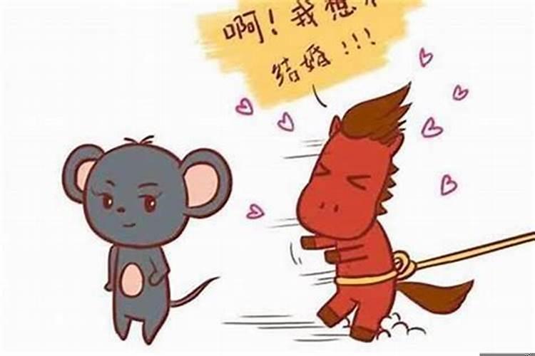 属马的和属鼠的婚姻合适吗