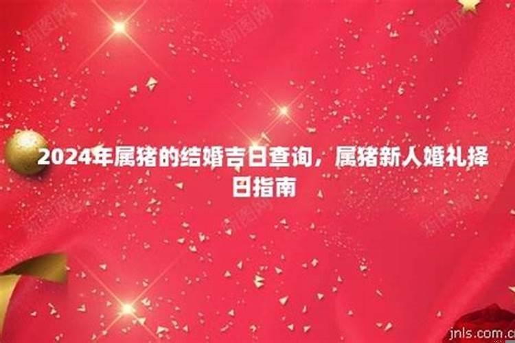 2025年属猪的婚姻如何