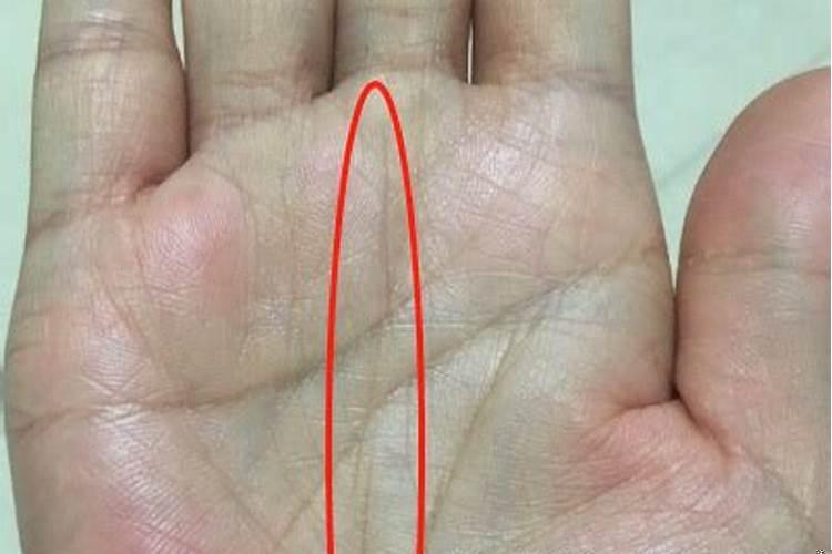 手相里没有事业线意味着什么