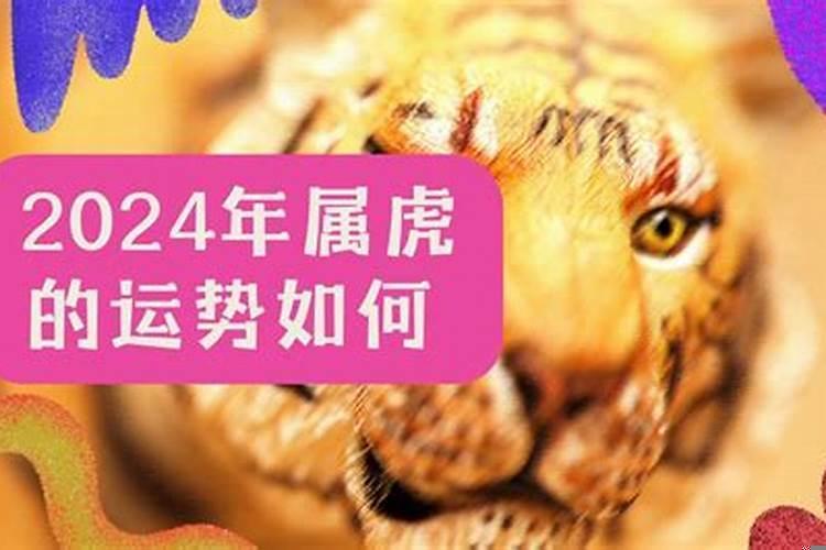 虎年的运势怎么样2022