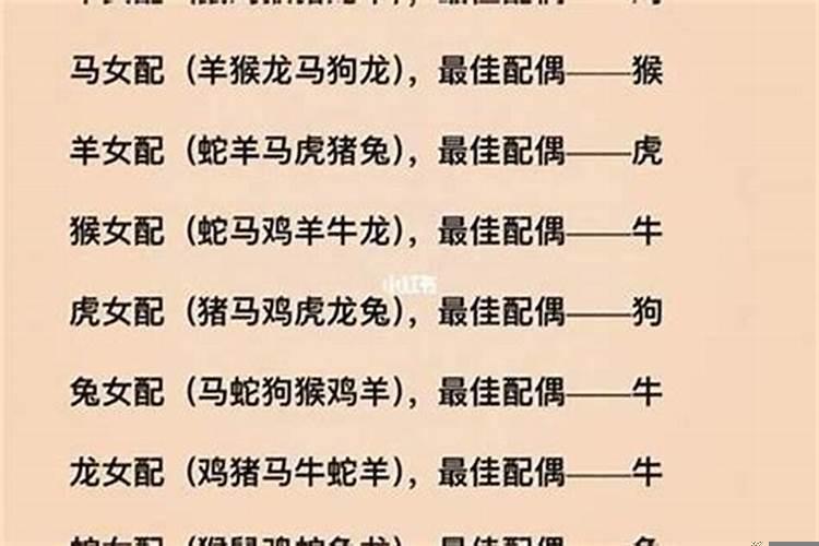 鼠和什么属相最合婚