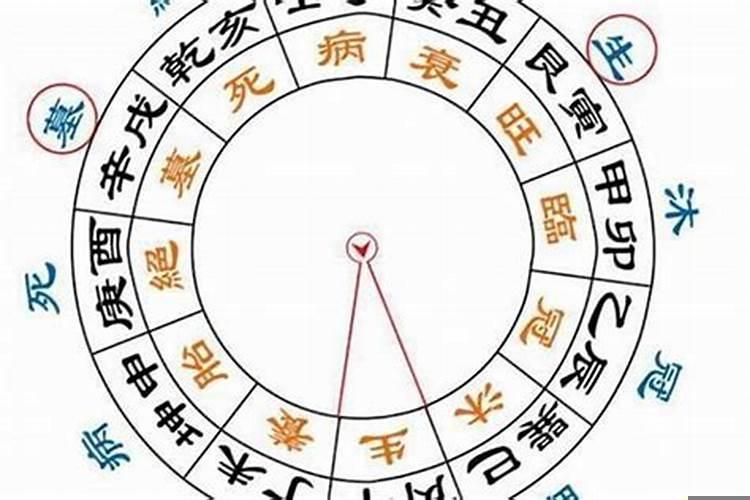 八字带进神的人运气