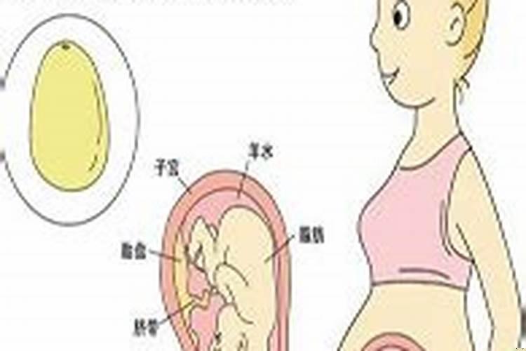 怀孕35周早产会有什么影响