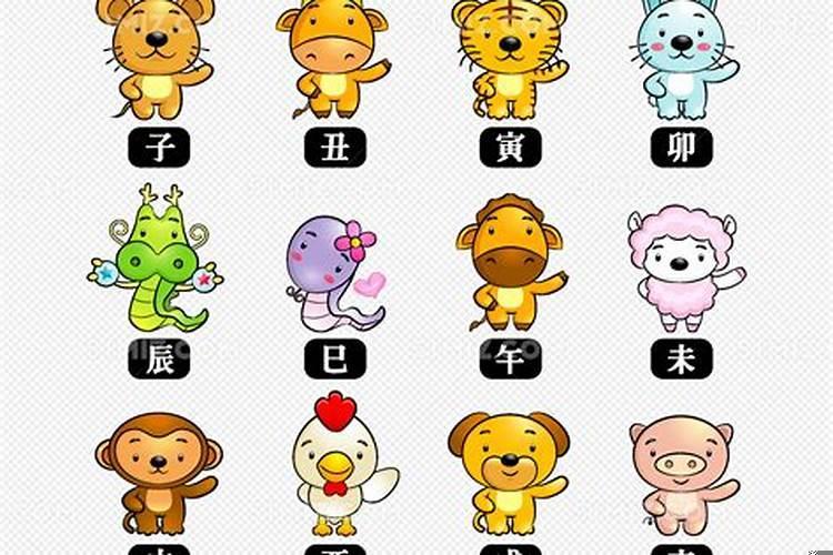 孝顺父母指什么生肖